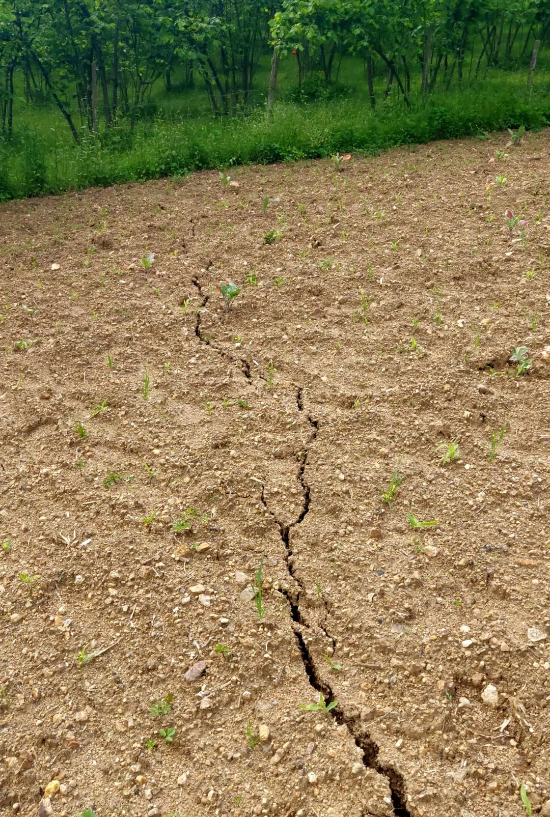 Giresun’da toprak kayması korkusu 33 haneyi yerinden etti