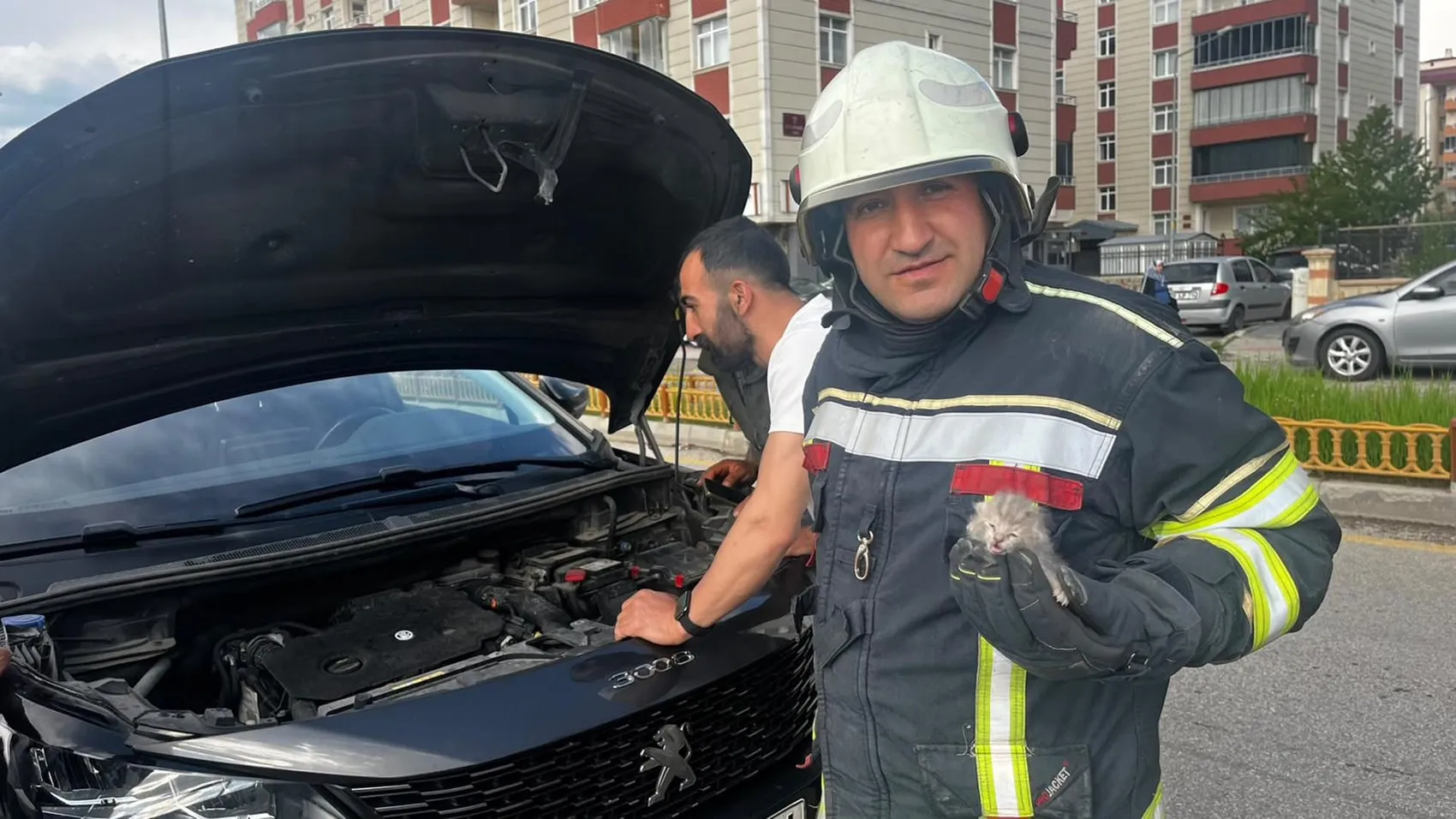 Erzurum'da otomobilin motoruna gizlenen yavrular itfaiye ile kurtarıldı