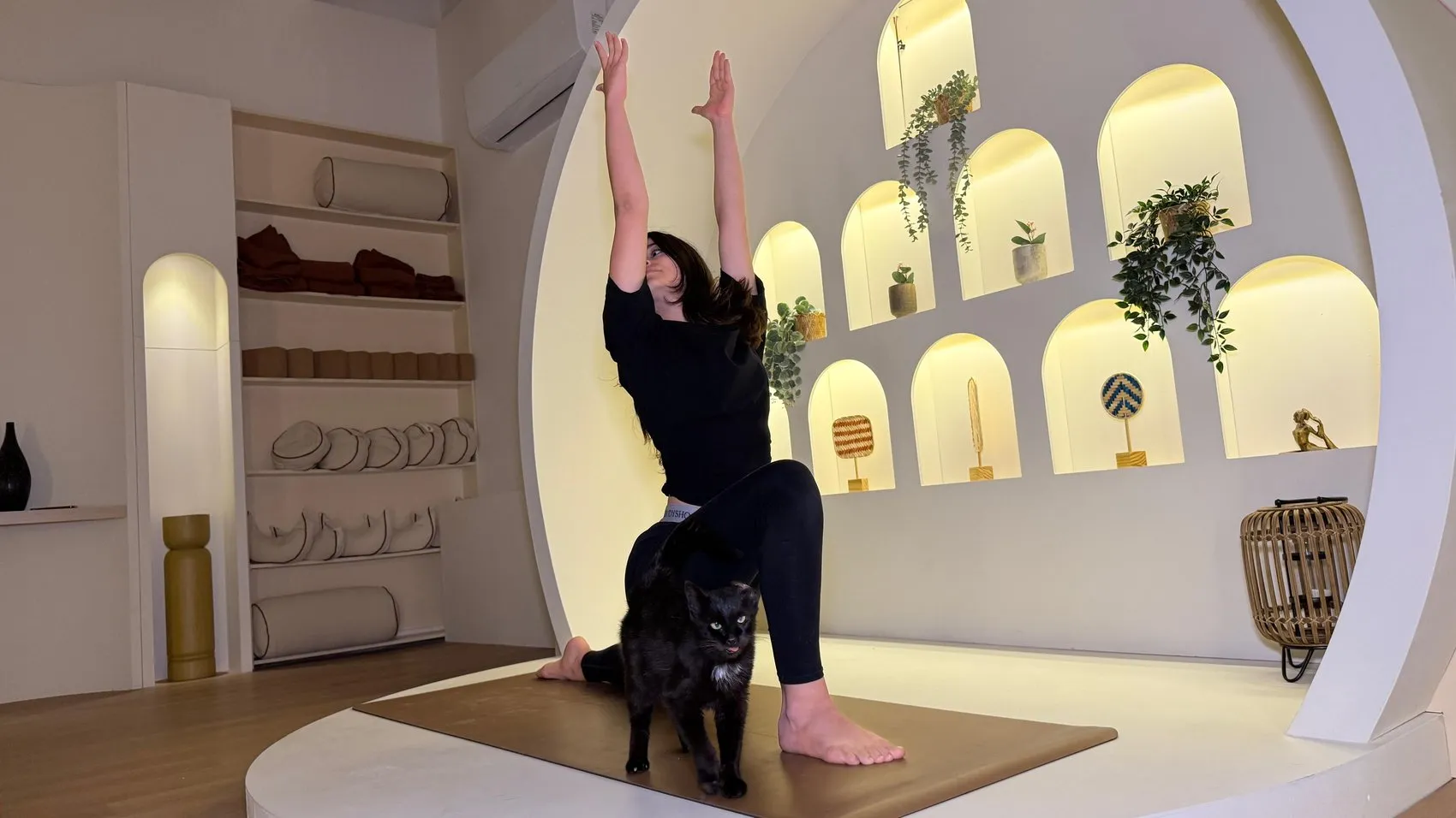 Ankaralı kadınlar stres atmak için kedilerle yoga matına çıktı