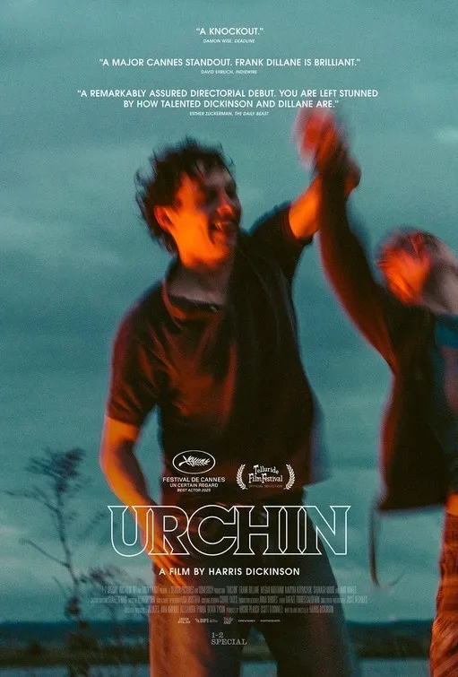 Serseri (Urchin)
