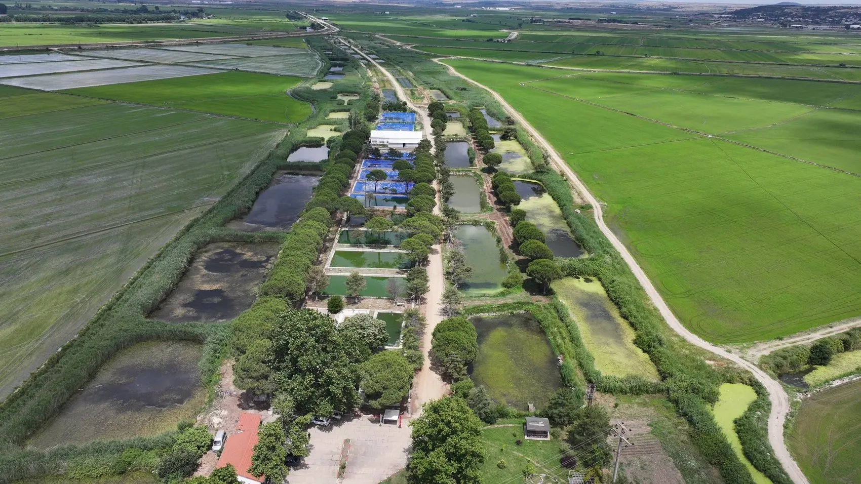 Trakya’nın göletlerine 40 milyon yeni misafir bırakıldı