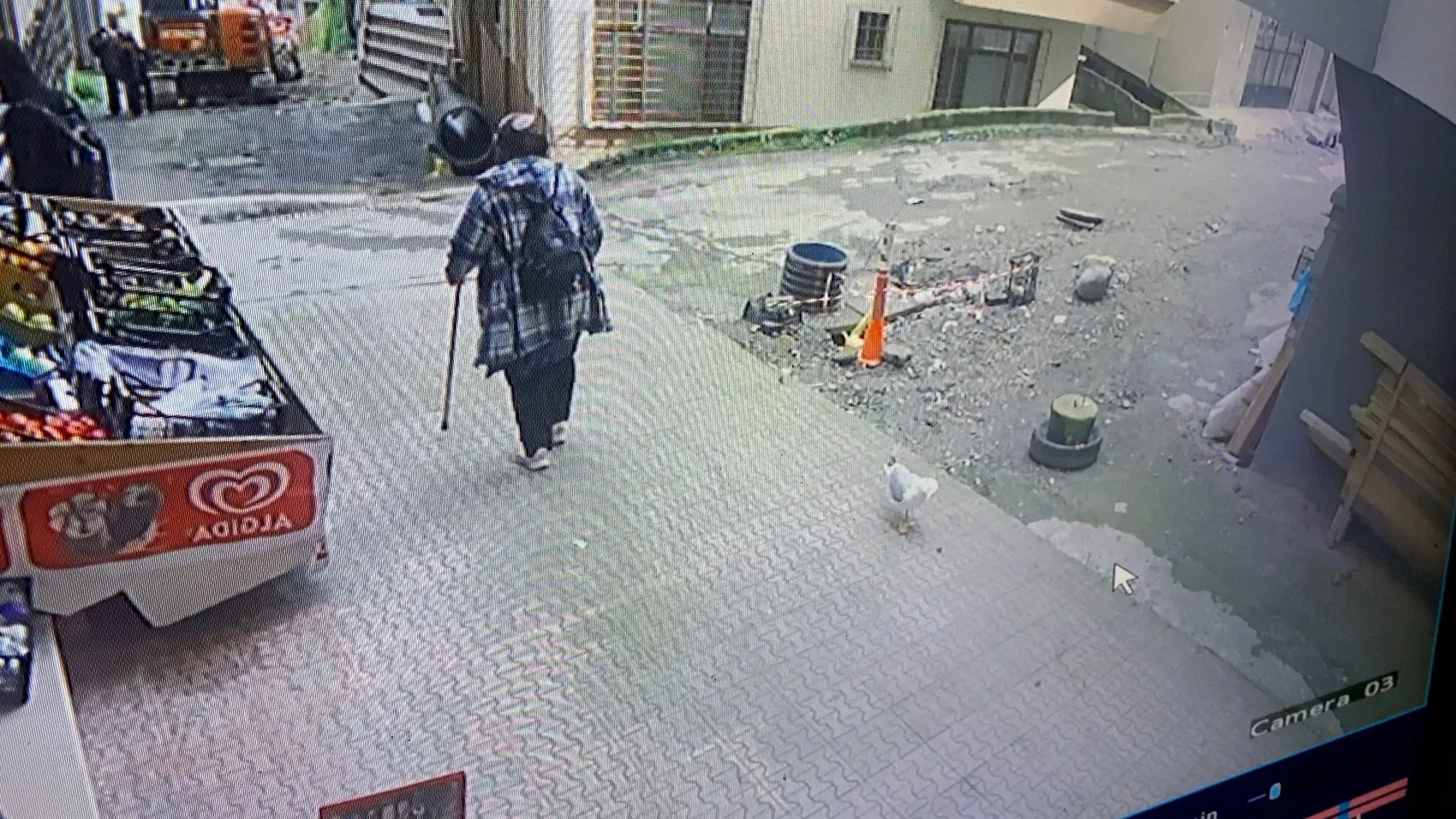 Rize’deki marketin kapısında bekleyen martı esnafın beşinci evladı oldu