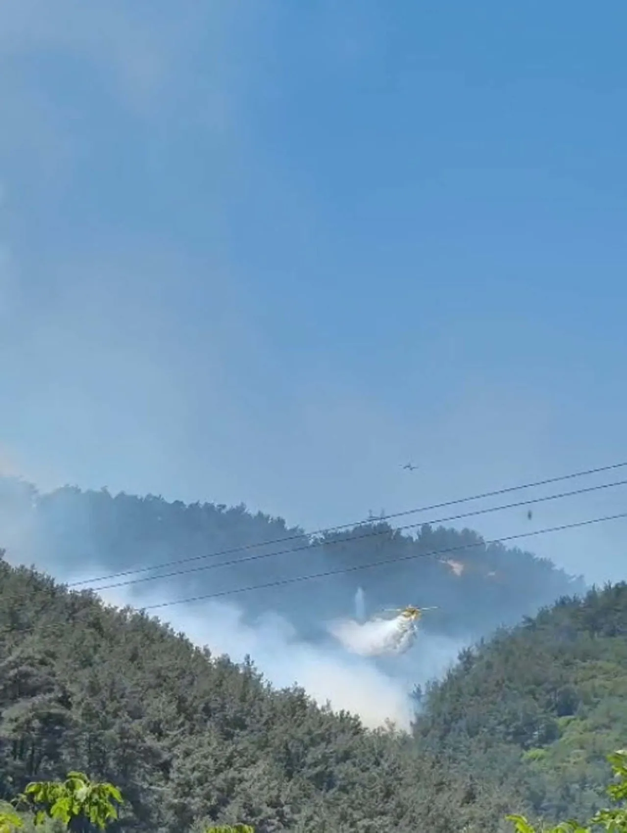 Soma ormanlarında yangın paniği