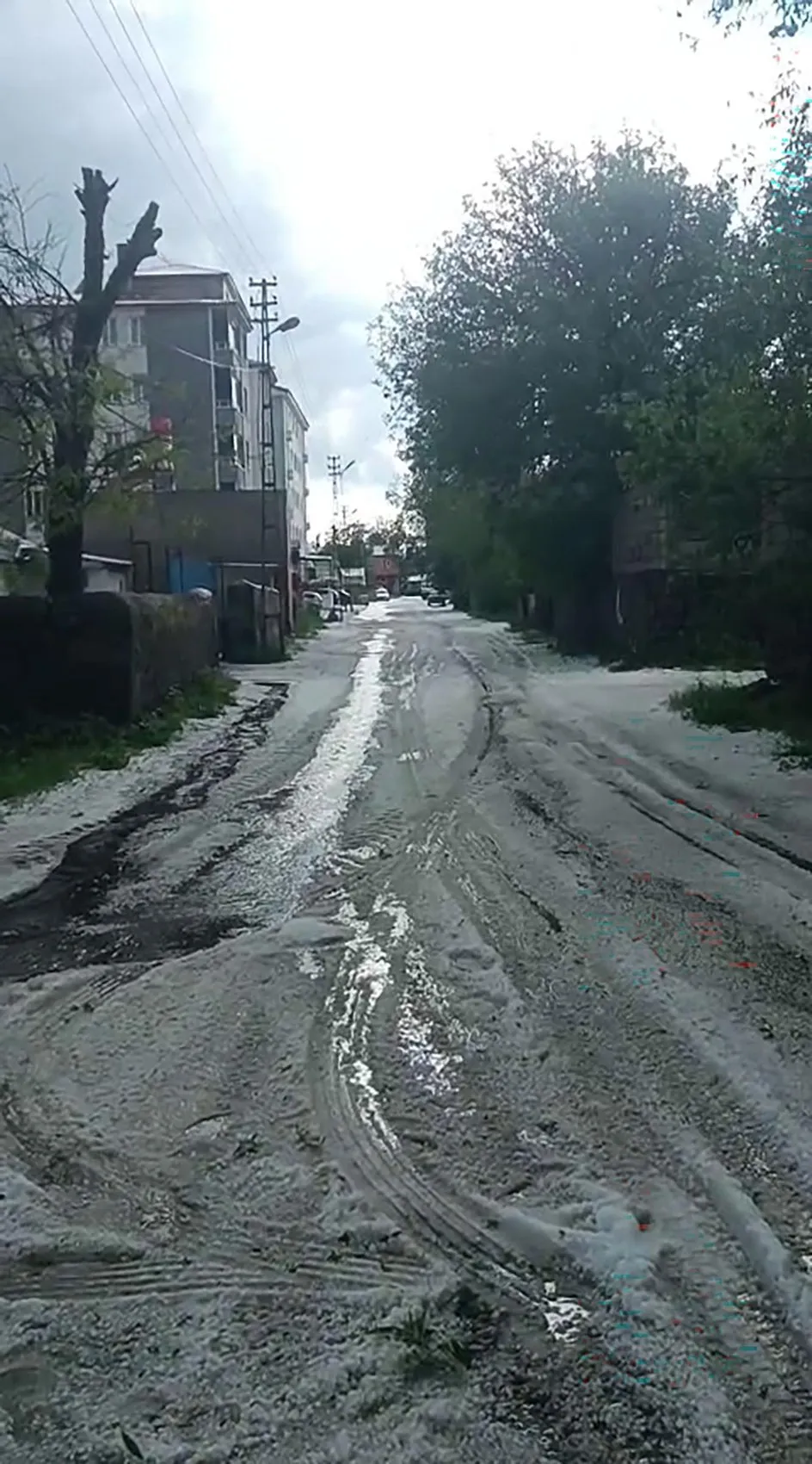 Kars Arpaçay'da dolu ve sel tarım arazilerini vurdu