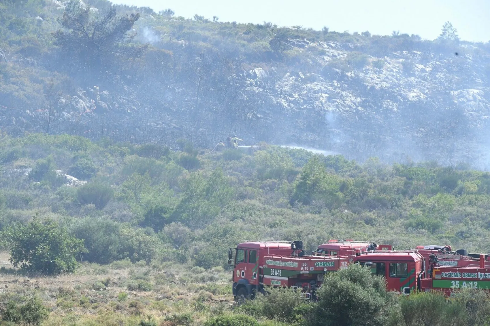 Urla Balıklıova’da orman yangını korkuttu