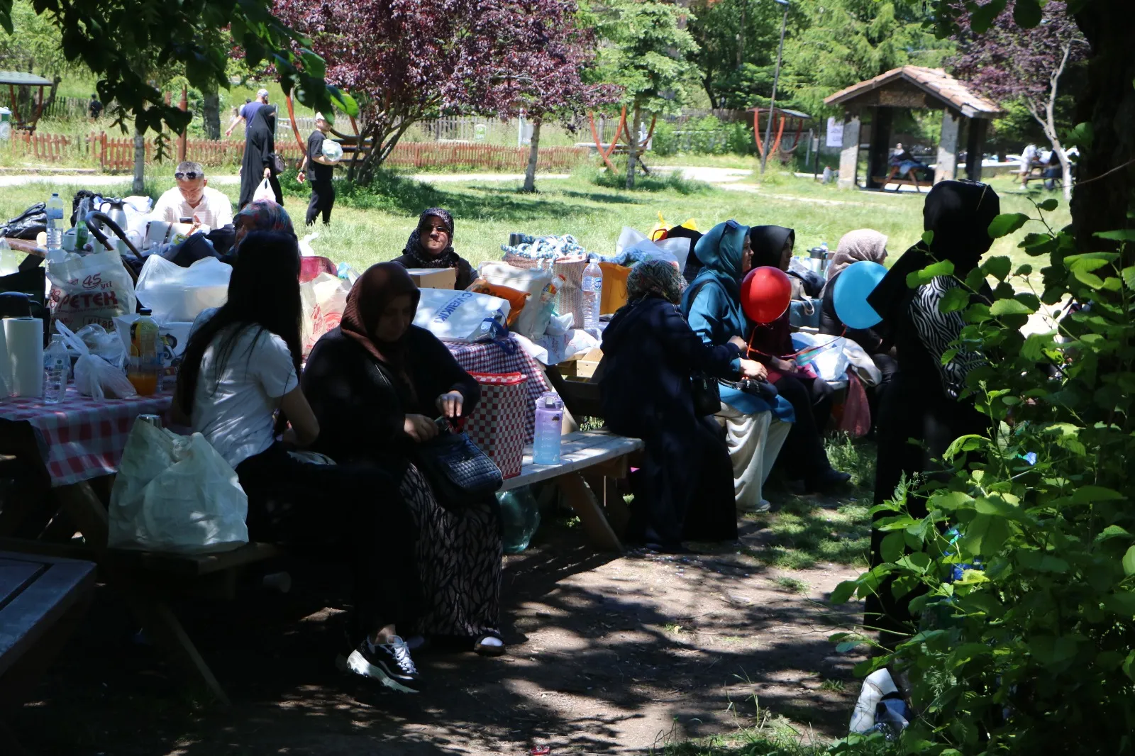 Bolu Gölcük Tabiat Parkı havadan görüntülendi