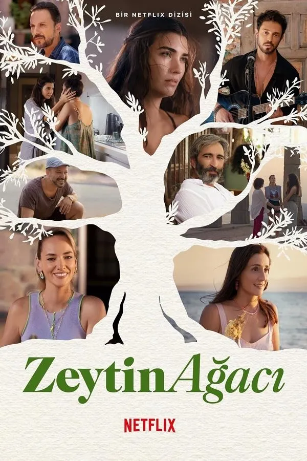 Zeytin Ağacı 3. Sezon