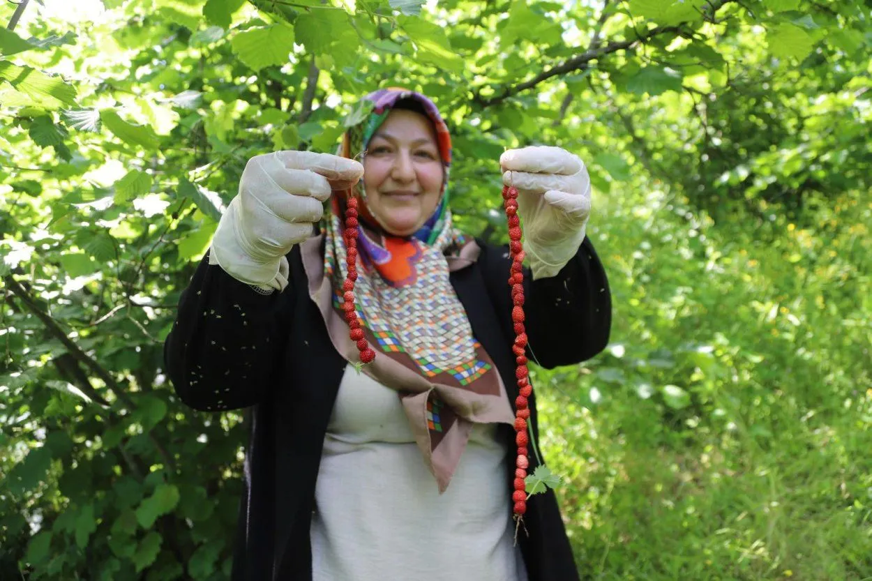 Ordu’nun dağ çileği reçeli artık tescilli bir marka