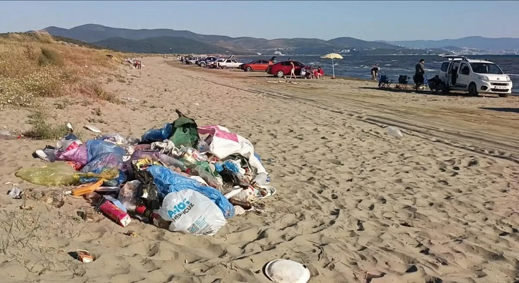 Pamucak sahilinde caretta caretta yuvaları araç baskısı altında