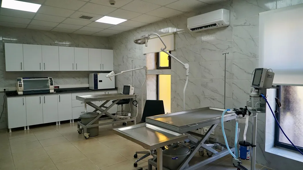 Kağıthane’de sokak hayvanları için dev yaşam kampüsü açıldı
