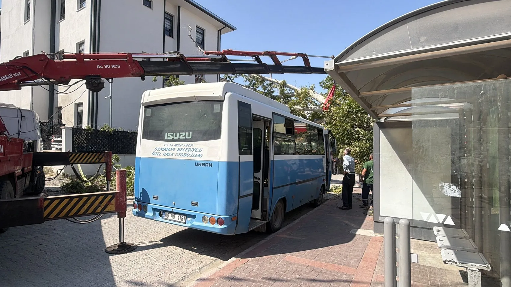 Osmaniye'de durakta bekleyen otobüsün üzerine ağaç devrildi