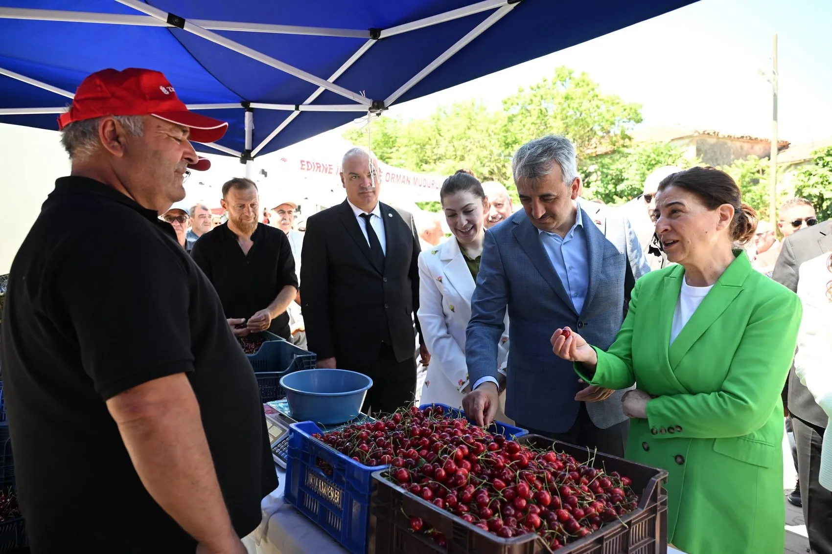 Edirne’nin altın kirazında hasat dönemi başladı