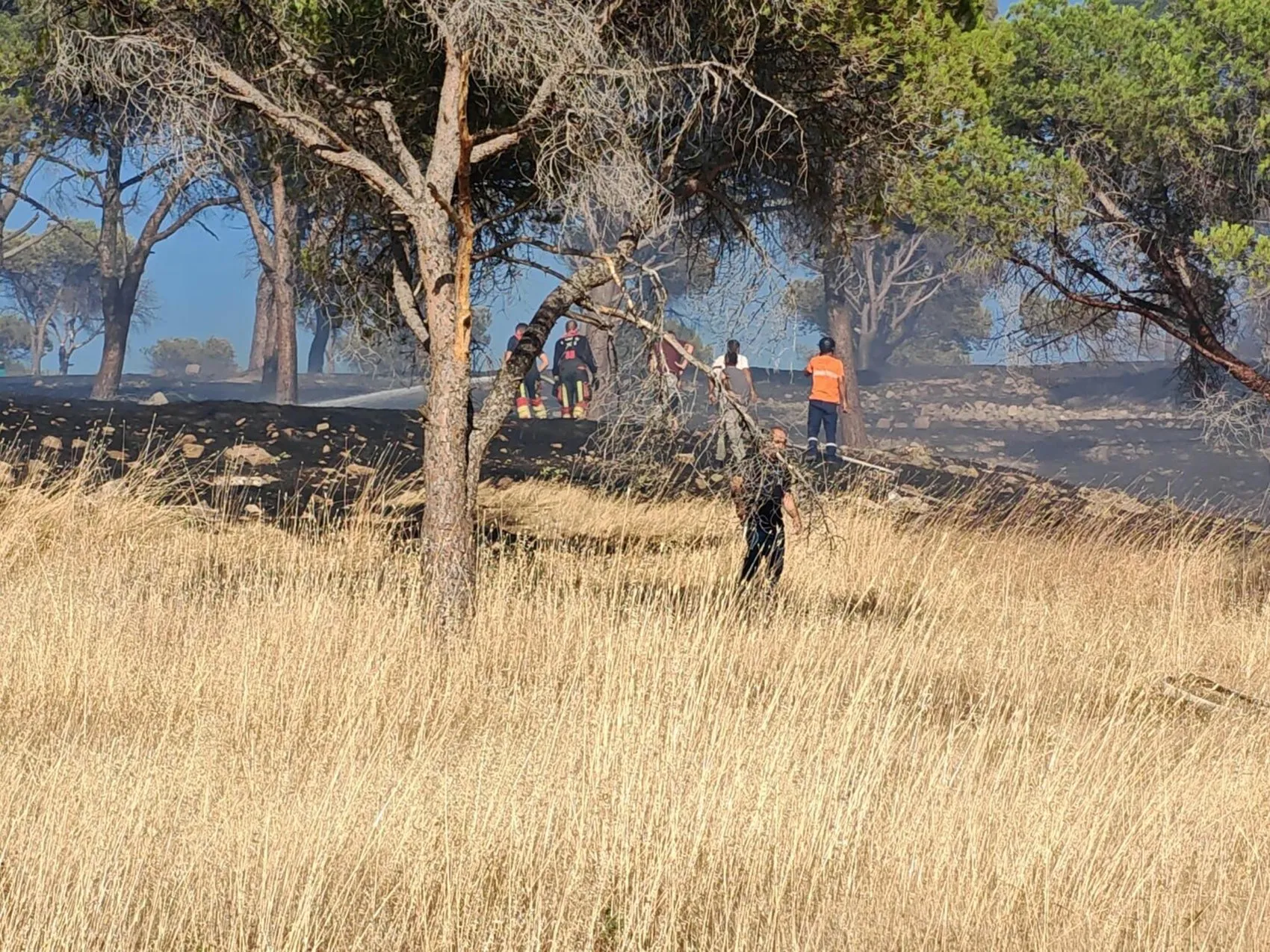 Ayvalık Sakarya Mahallesi’nde ormanlık alana yakın yangın korkuttu