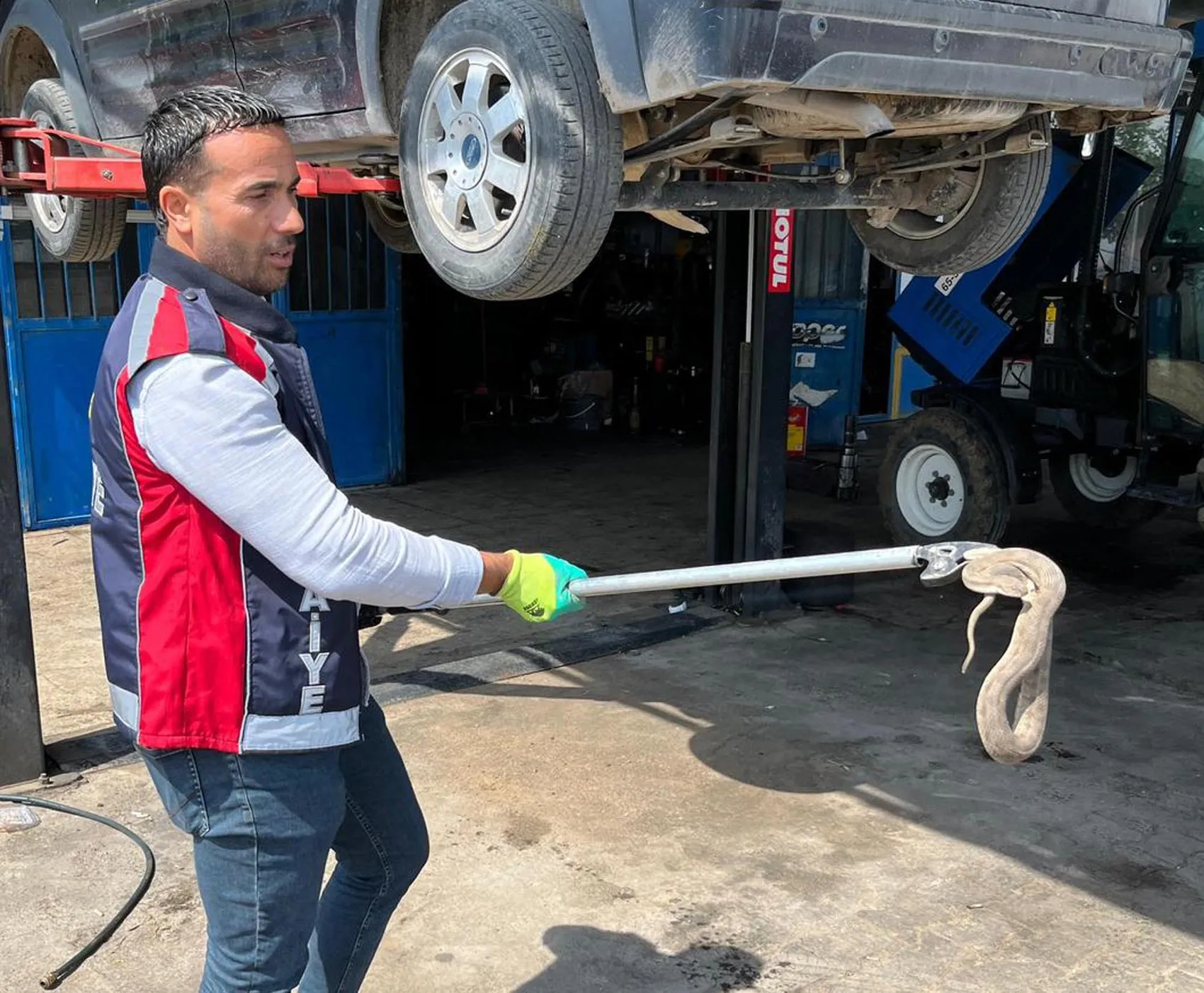 Iğdır'da otomobilin motoruna saklanan davetsiz misafir