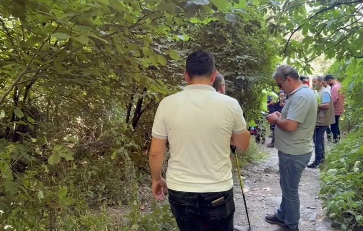 Bursa'da ıhlamur toplamak için evden çıkan yaşlı adam ölü bulundu