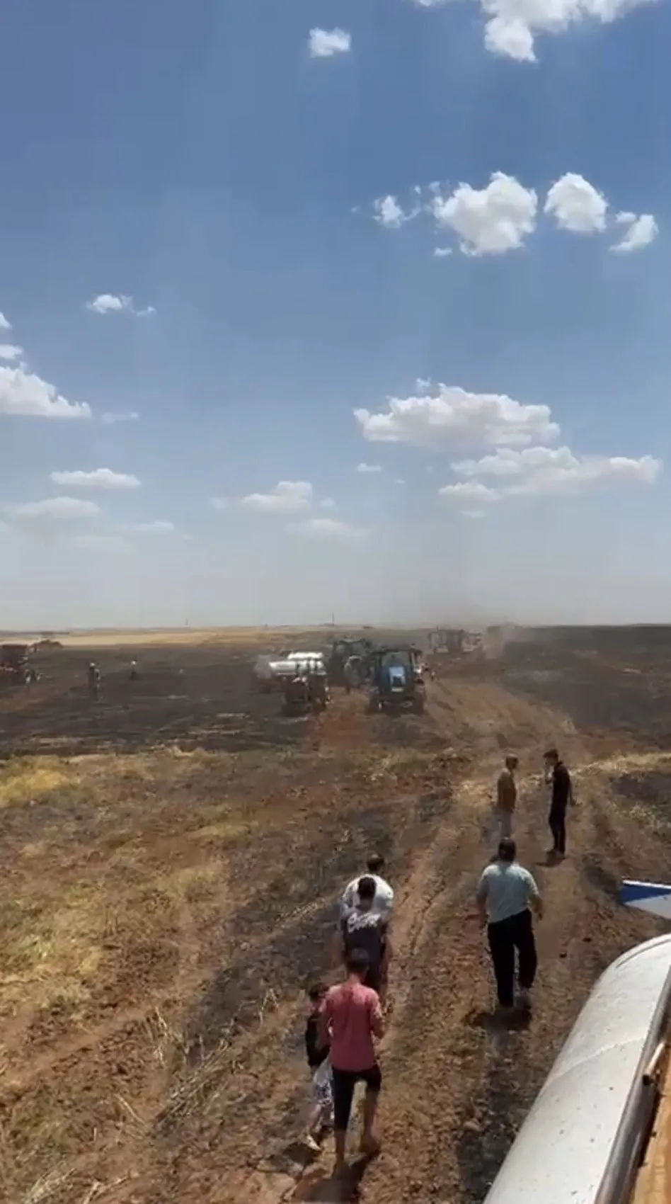 Mardin’de 300 dönüm tarla küle döndü