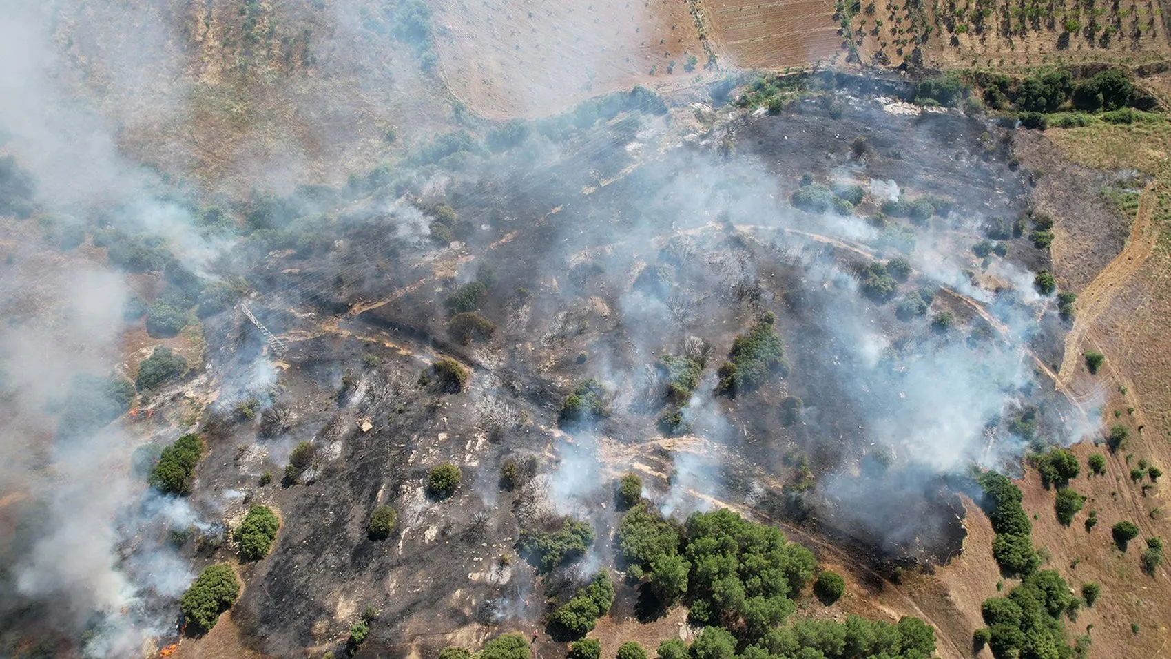 Manisa Kula’da makilik alan bir saatte küle döndü