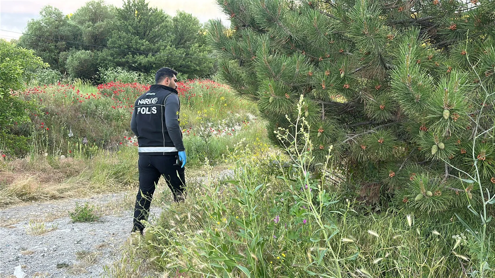 Kütahya yolunda yakalanan şüphelilerin uyuşturucu kaçırma planı suya düştü