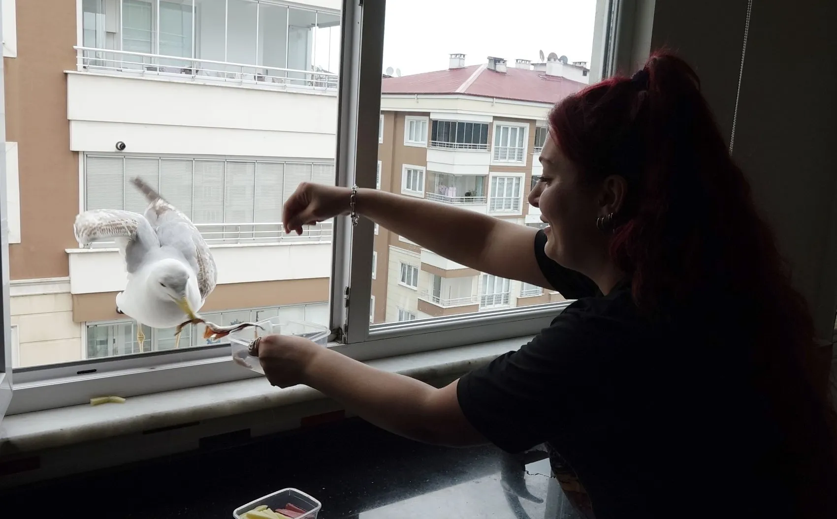 Trabzonlu öğretmenin mutfağındaki davetsiz ama sevimli misafir