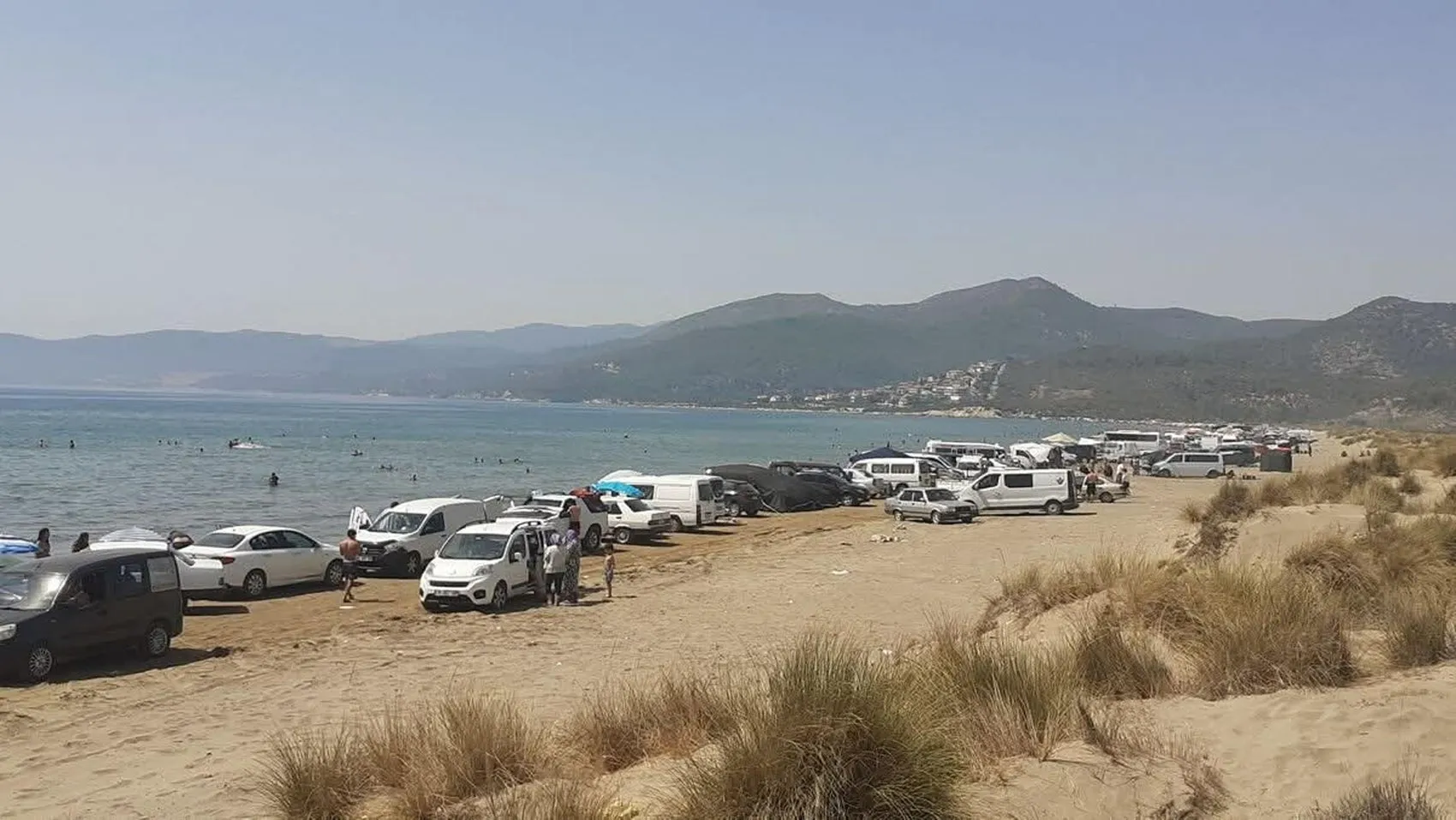 Pamucak sahilinde caretta caretta yuvaları araç baskısı altında