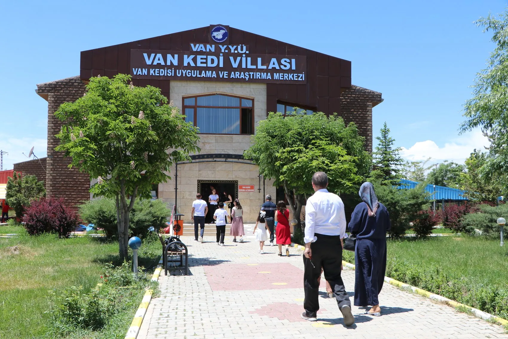 Van Kedileri İçin Hareketli Günler Başladı