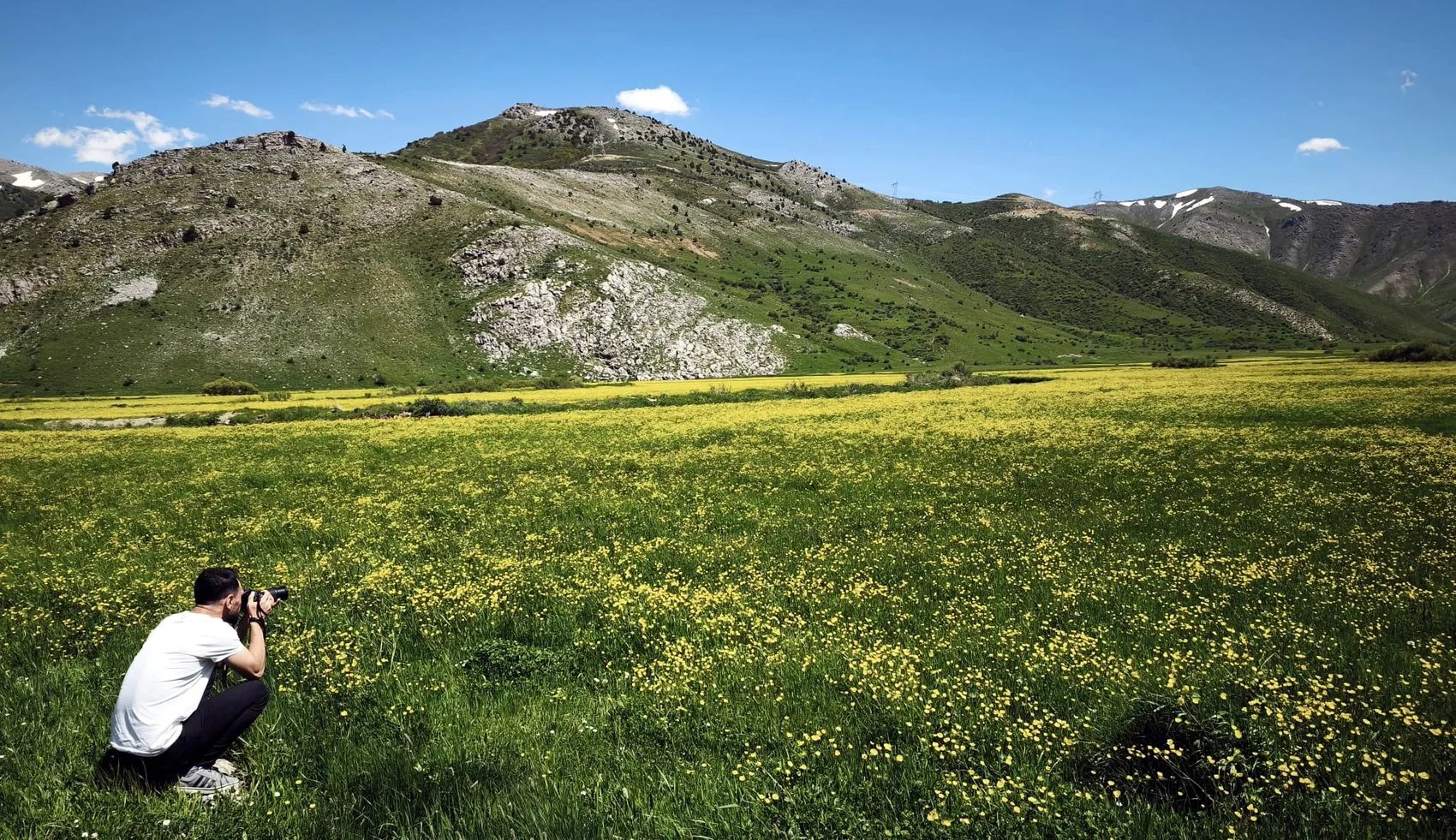 Bitlis’in saklı güzelliği sarı çiçeklerle renklendi
