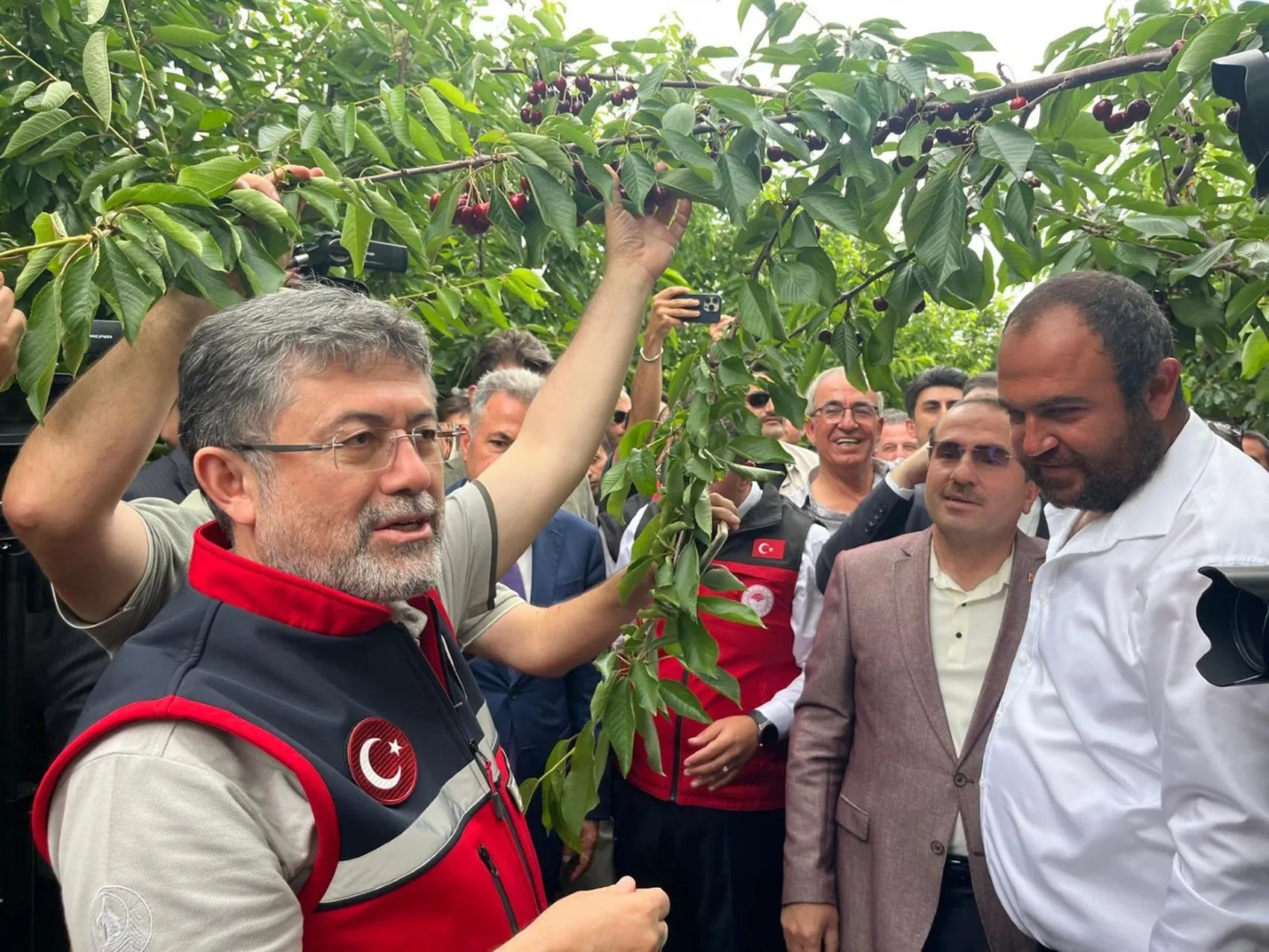 İzmir kirazında sezon açıldı üreticiye destek sözü geldi