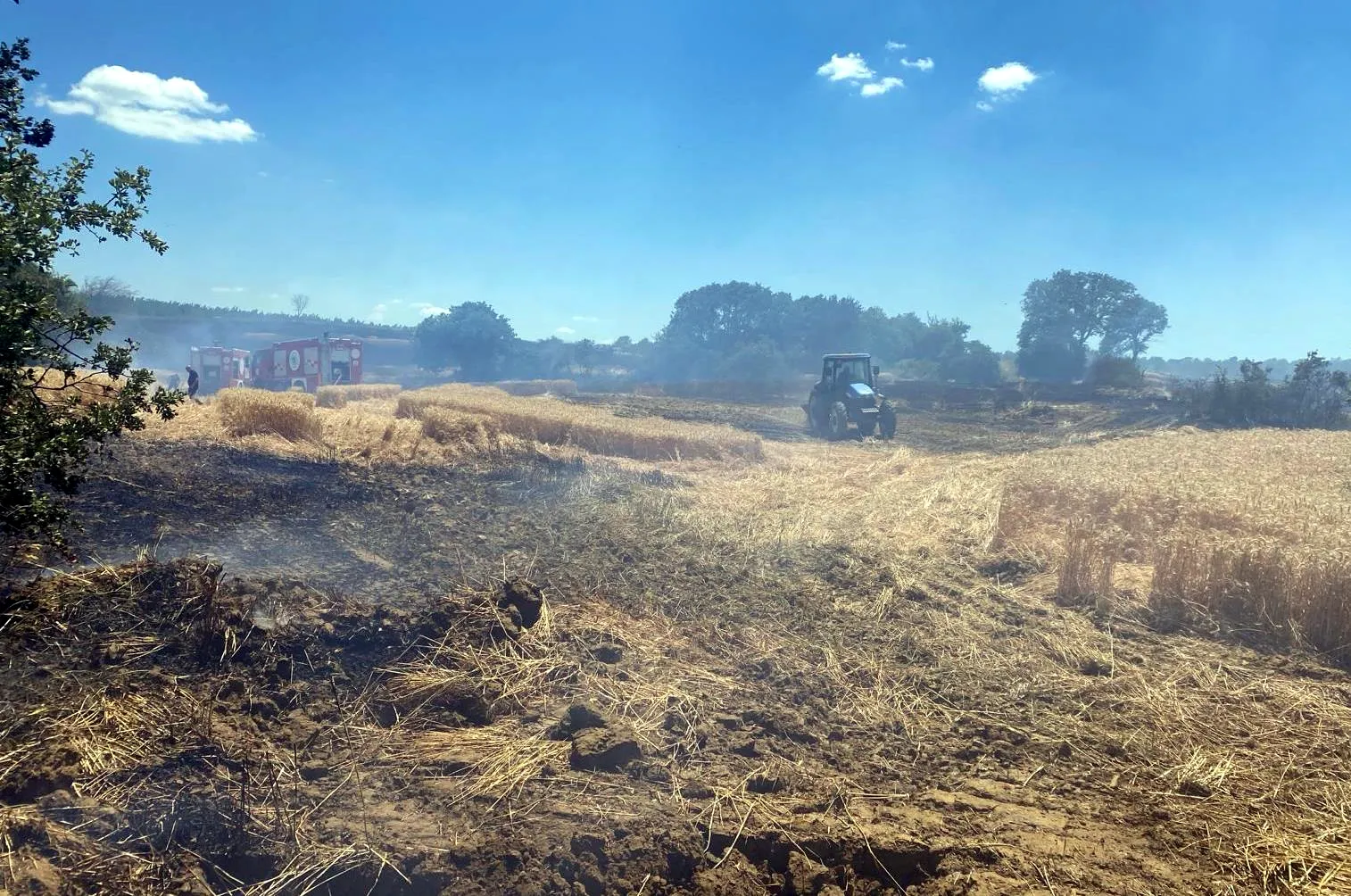 Tekirdağ'da buğday tarlaları kül oldu