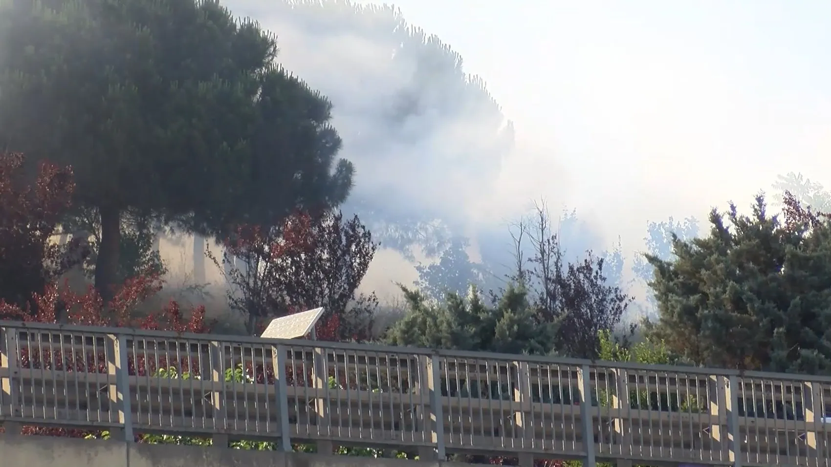 Kağıthane'de otluk alandaki yangın korkuttu