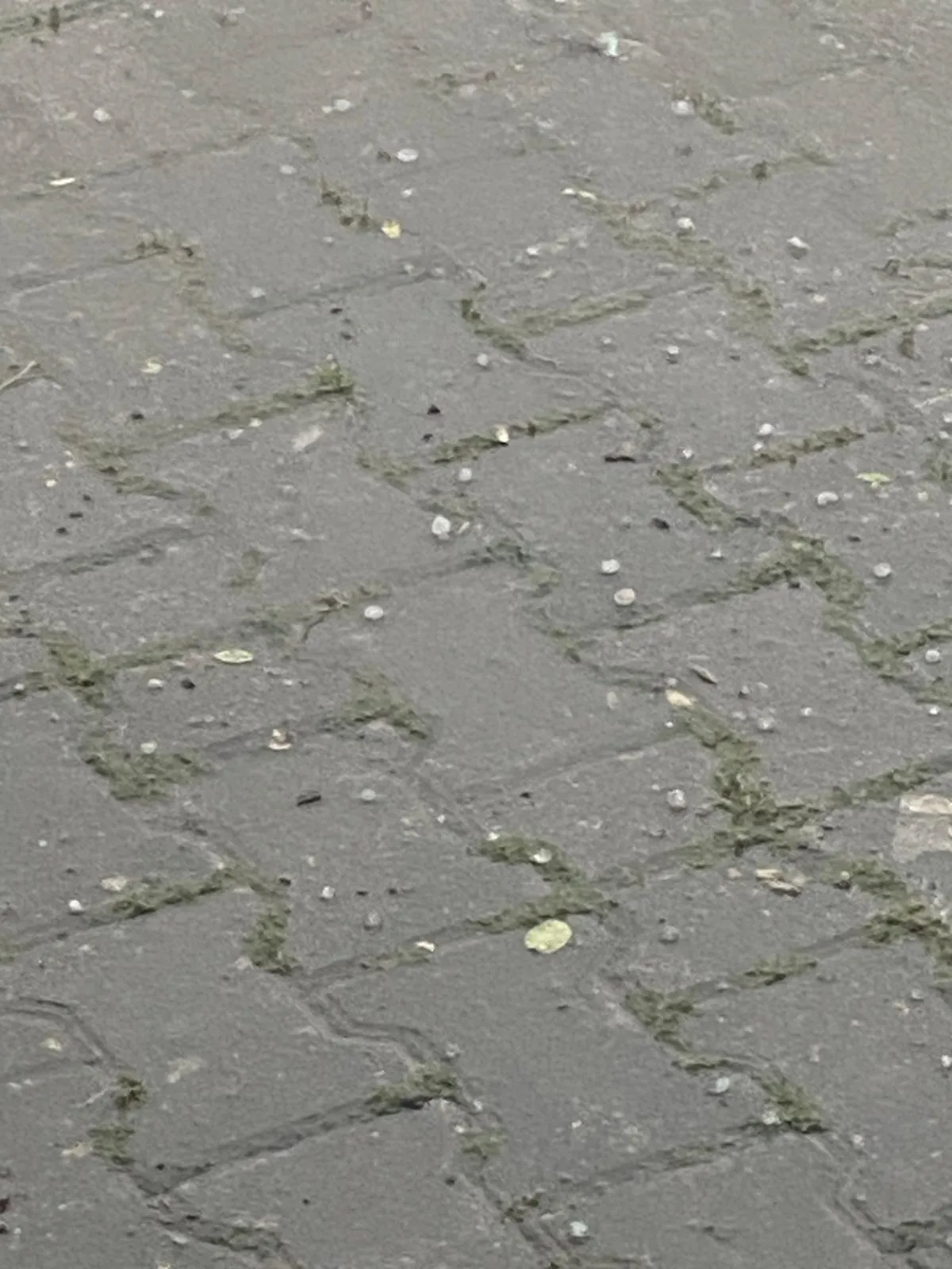 Bursa Yenişehir'de ani fırtına ve dolu hayatı durdurdu