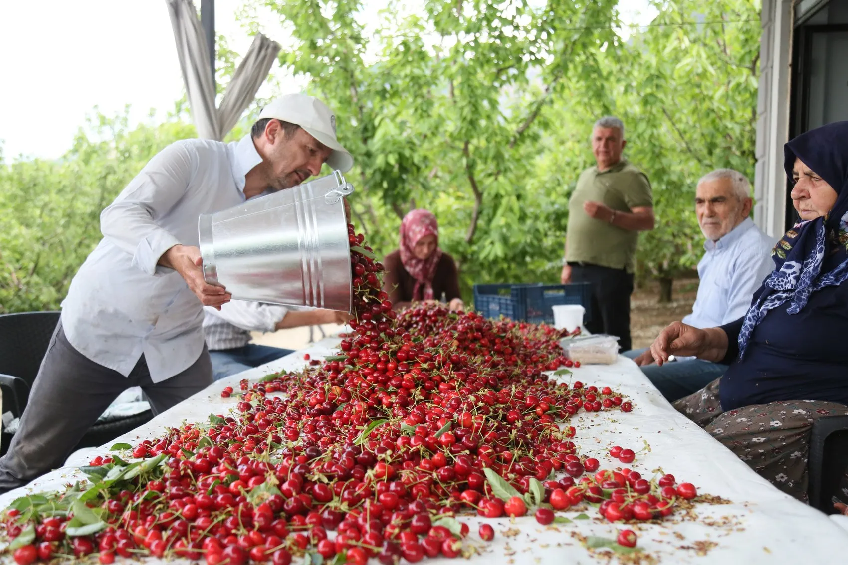 Kirazda ihracat sezonu açıldı
