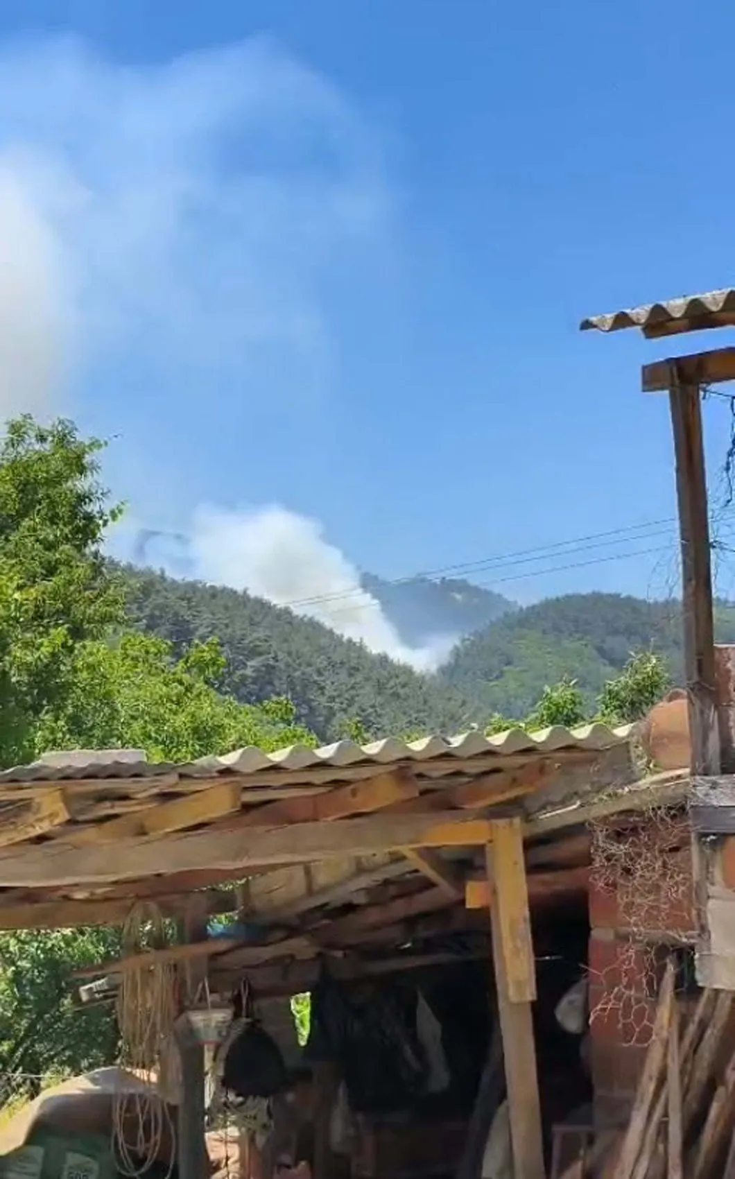 Soma ormanlarında yangın paniği