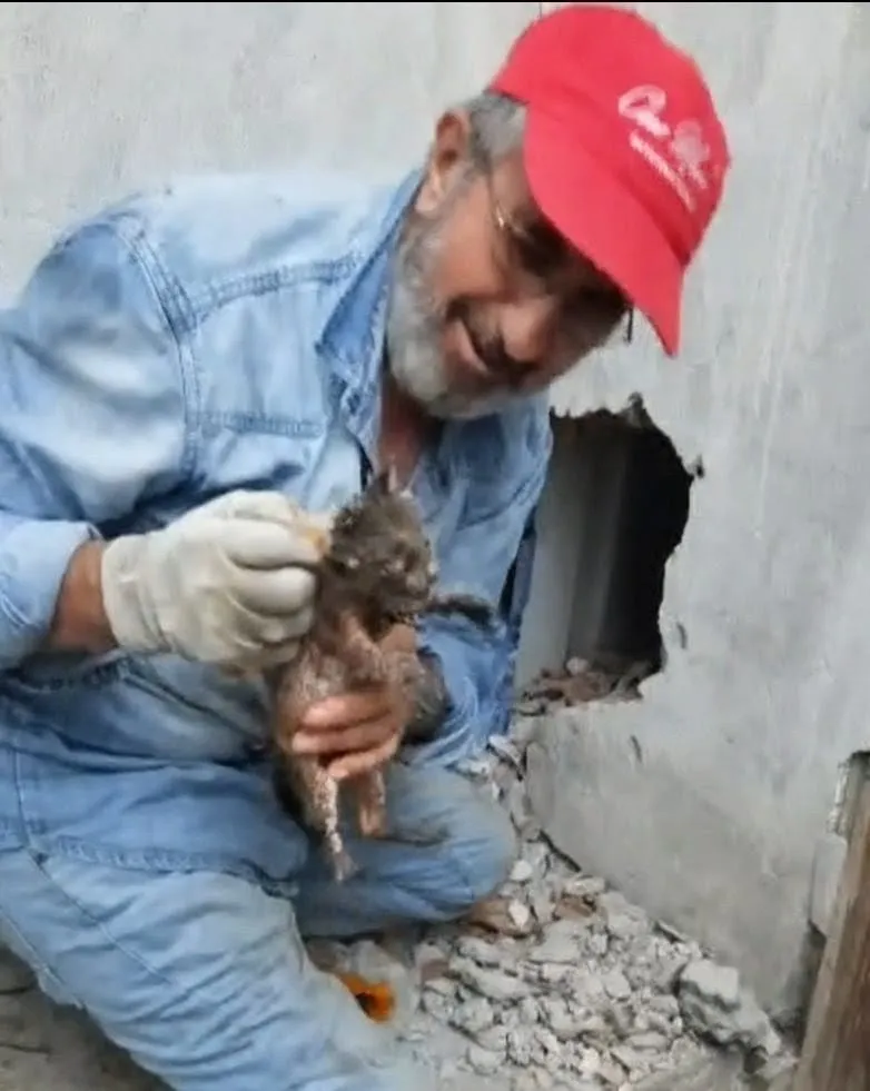 Amasya'da baca içine sıkışan kedi operasyonu