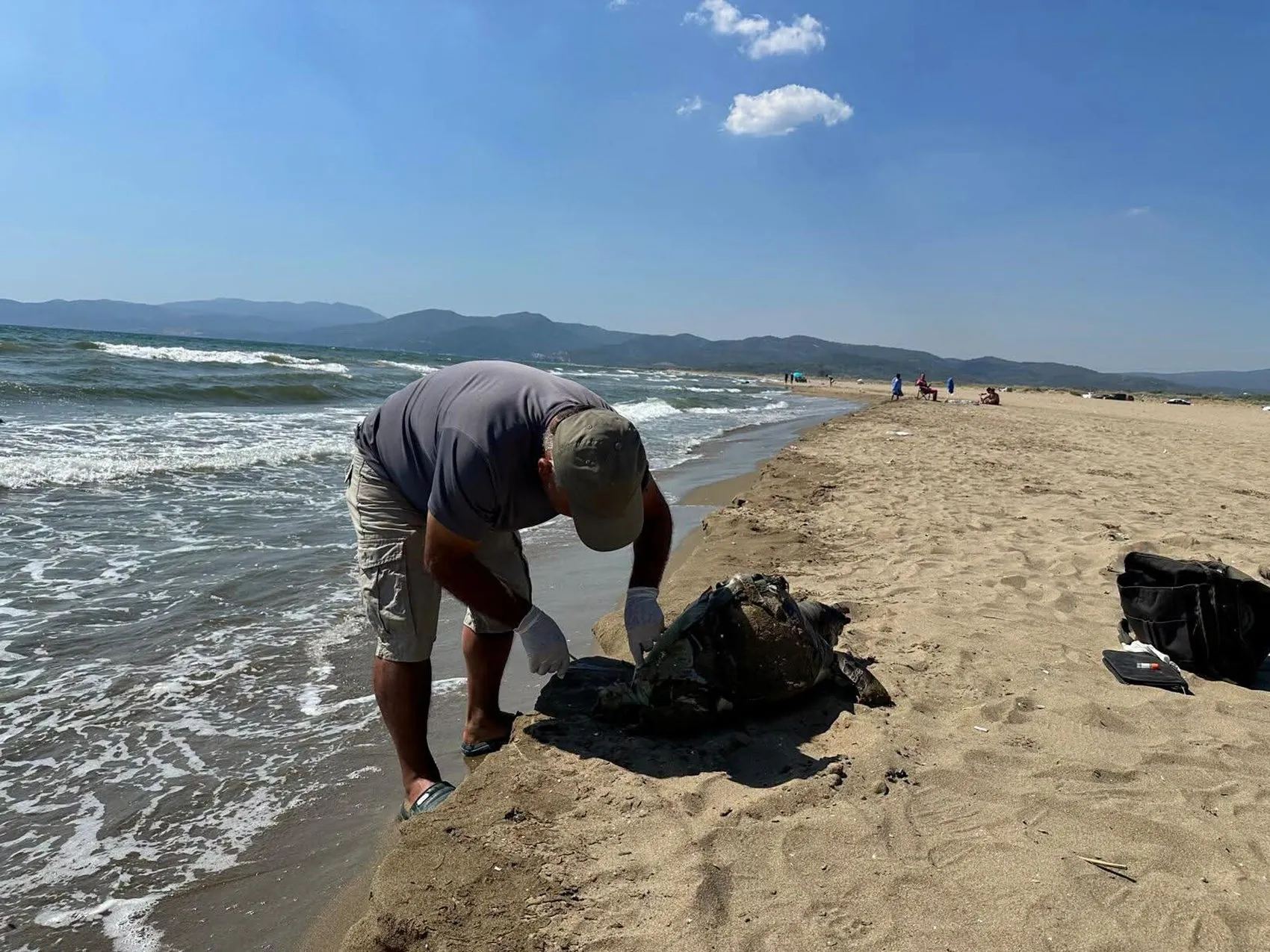 İzmir'de vicdansızlık örneği Kaplumbağayı öldürüp denize attılar