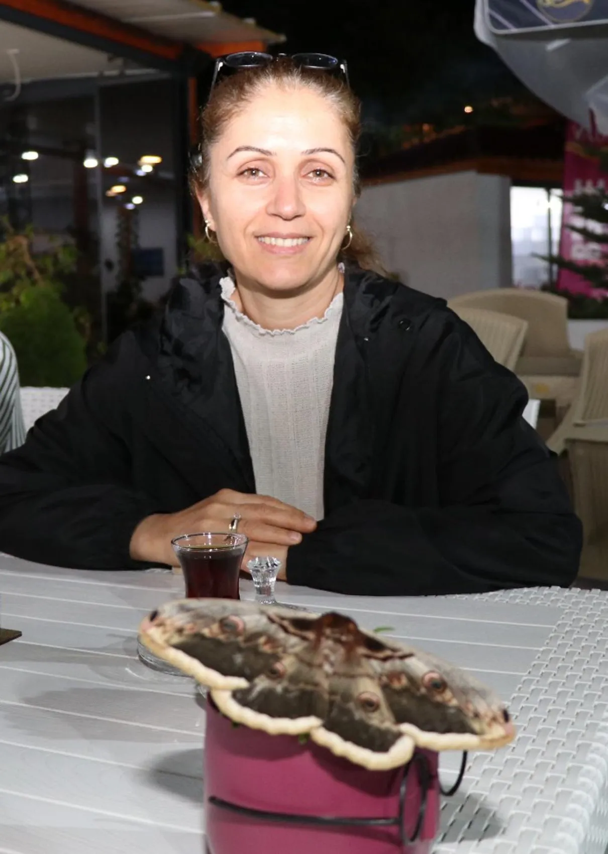Erzurum Oltu'da tropikal sürpriz Baykuş kelebeği görüntülendi