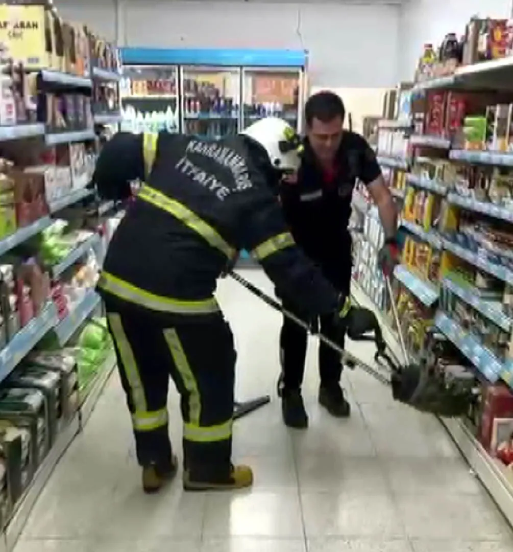 Andırın'da market rafında yılan paniği