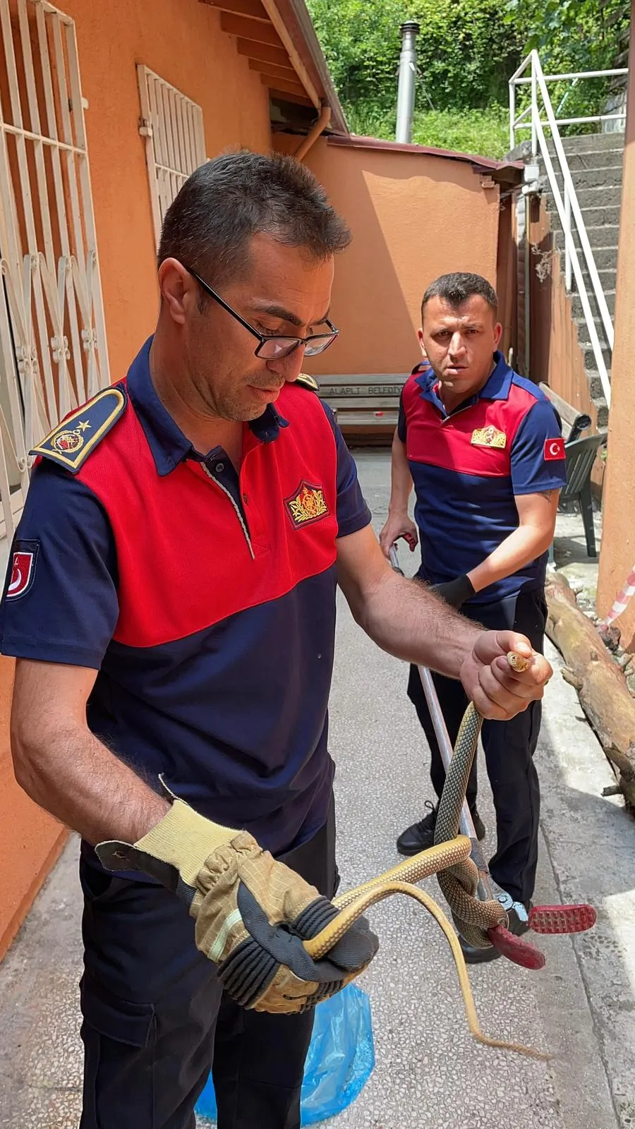 Sağlık ocağına giren yılan hastaları korkuttu