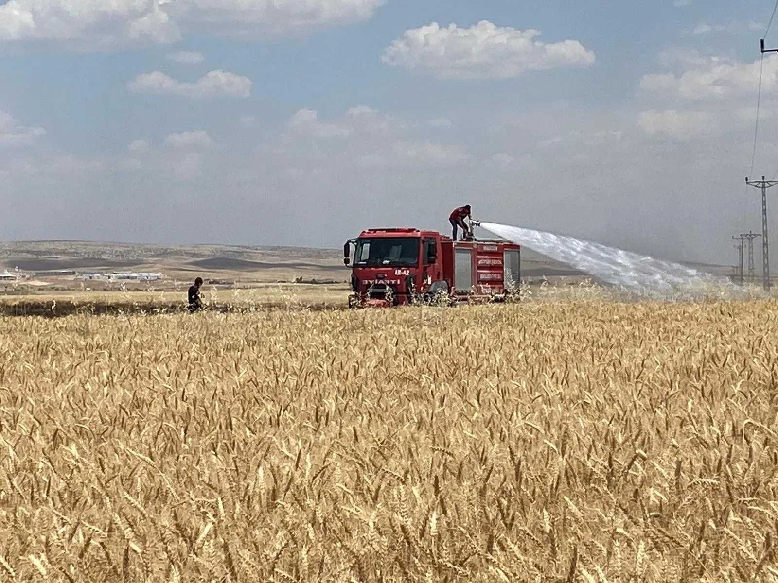 Mardin’de 300 dönüm tarla küle döndü