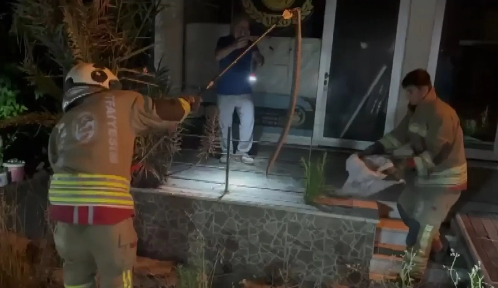 İskenderun’da bahçeye giren davetsiz misafir korkuttu