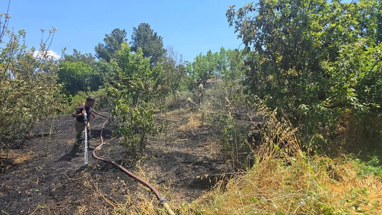 Mudanya'da bahçede yakılan çöpler 4 dönüm alanı küle çevirdi