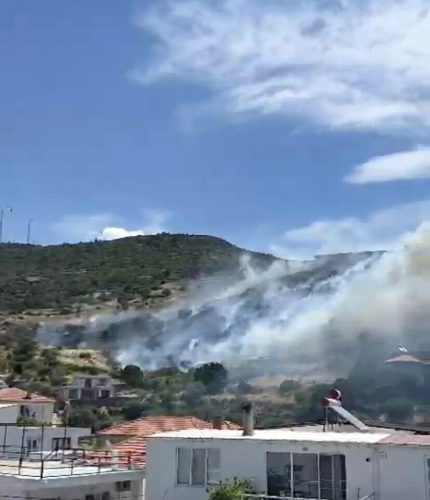 Ayvacık makiliklerinde yangın paniği