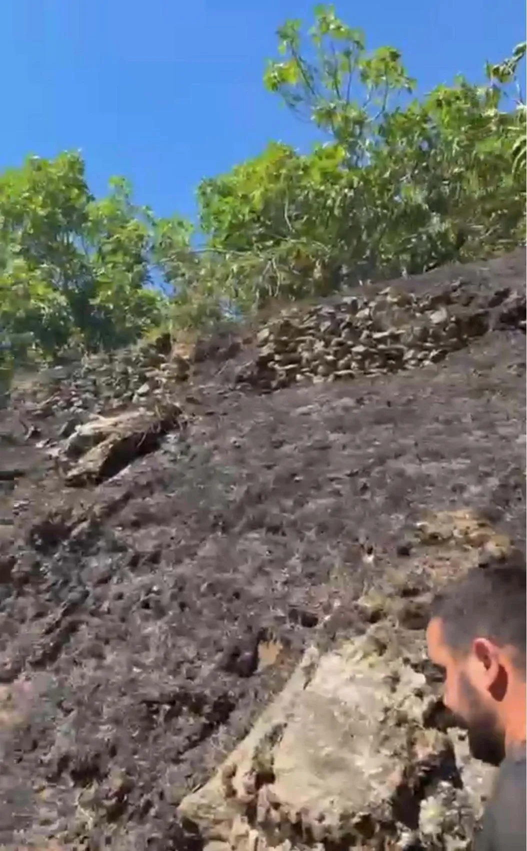 Nazilli'de bir öğle yemeği incir bahçesini küle çevirdi