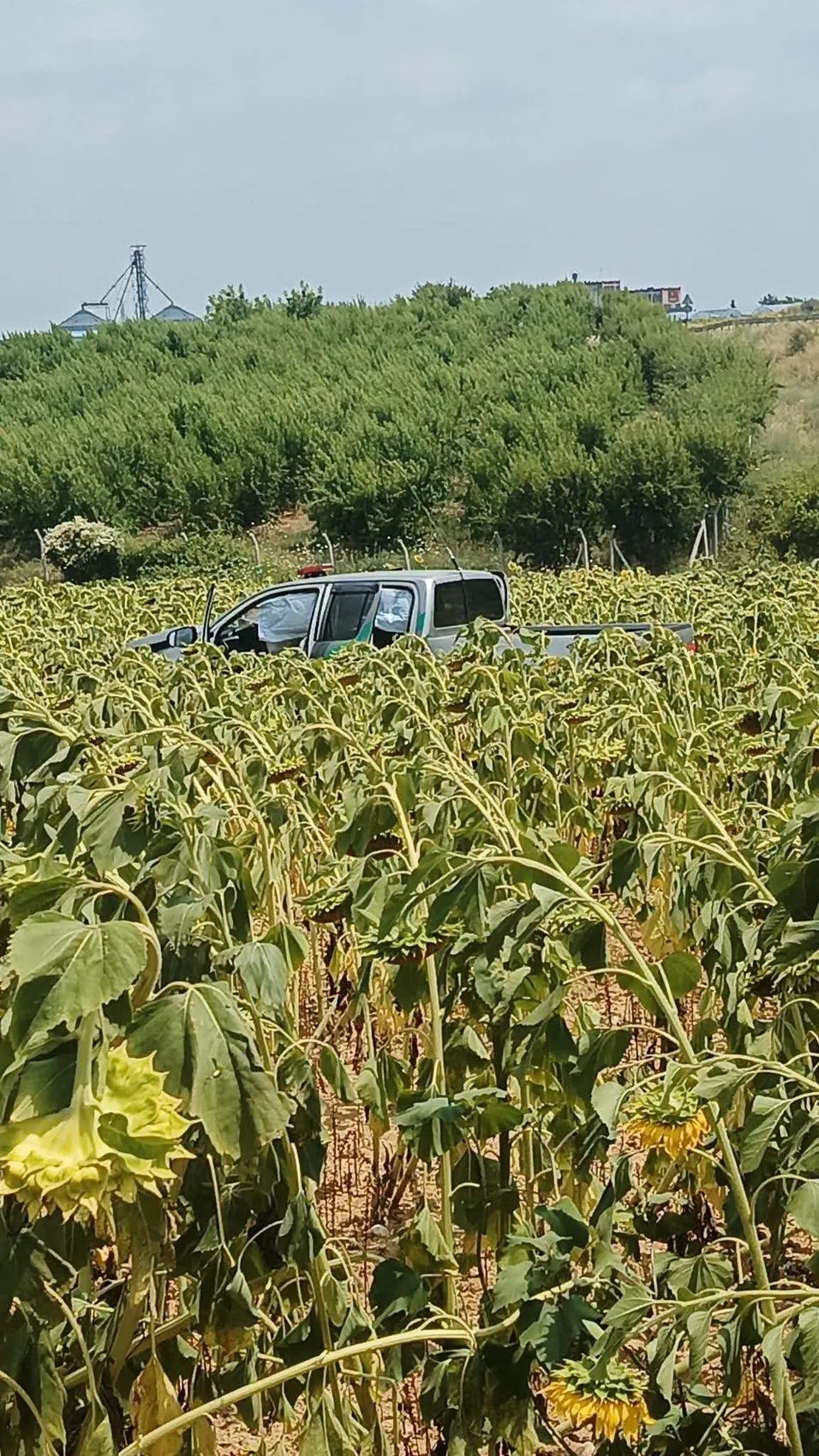 Adana İmamoğlu yolunda feci kaza 1 can aldı