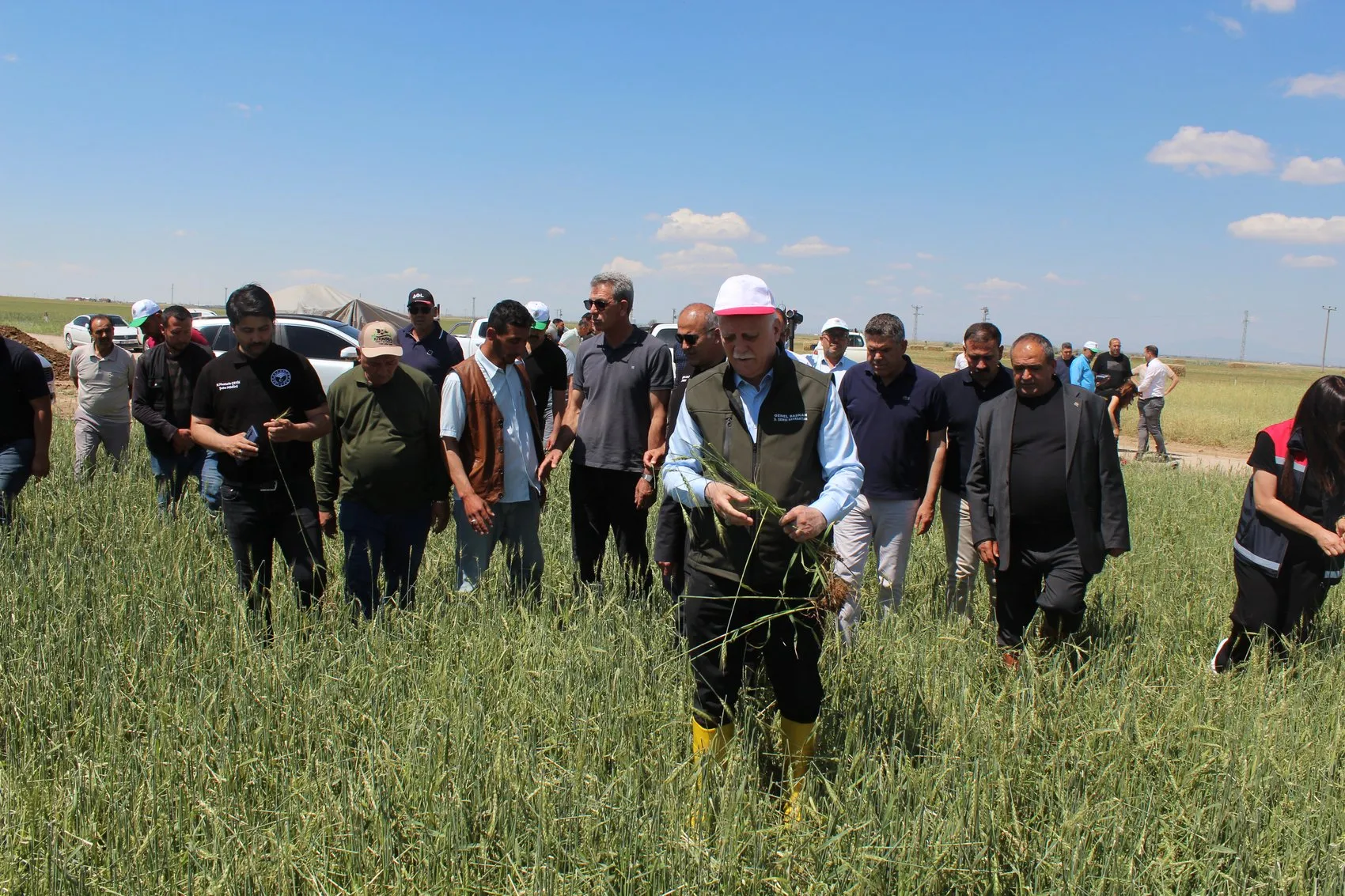 Buğdayda rekolte tahmini 23 milyon ton seviyesinde