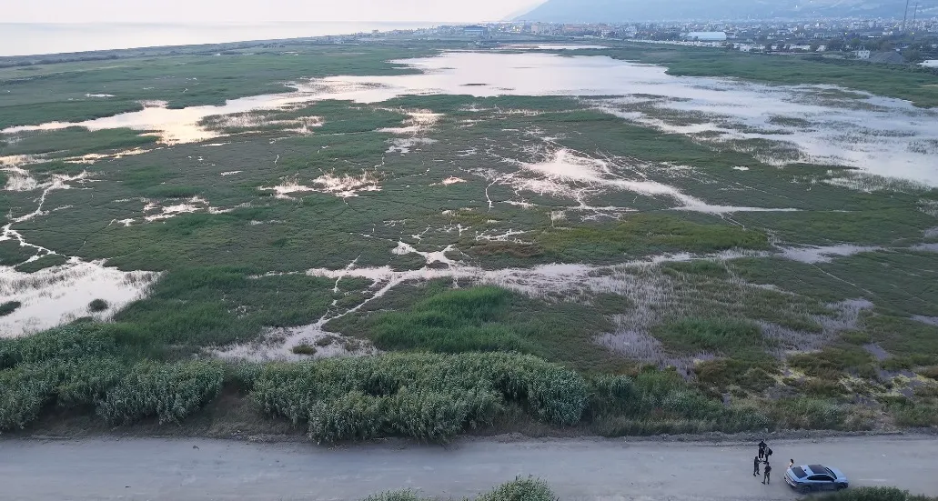 Hatay'da göçmen kuşların durağı moloz yığınına döndü