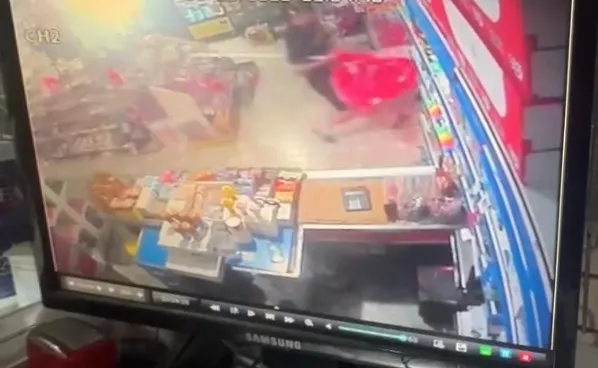 Küçükçekmece'de mucize kurtuluş Yavru kedi 8'inci kattan şemsiyeye düştü