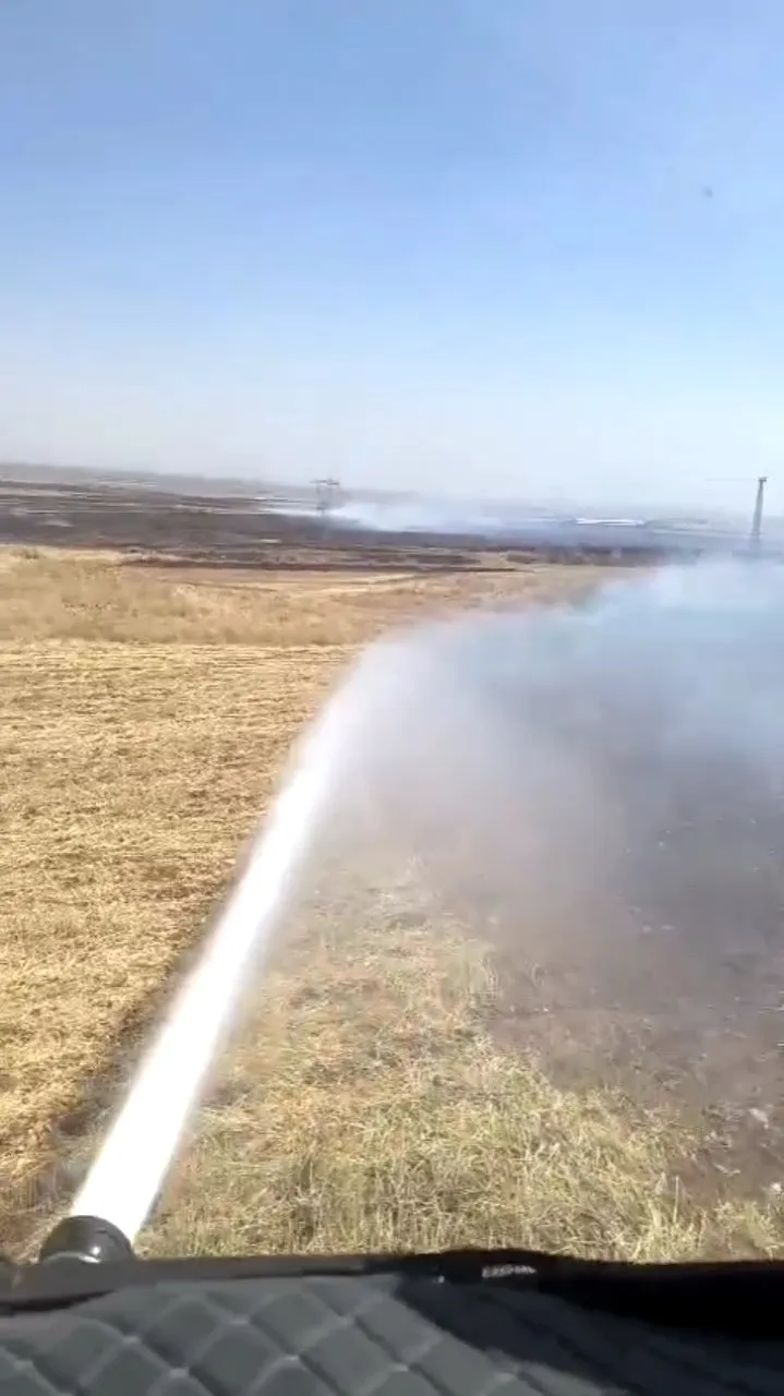 Mardin'de anız yangını köye sıçradı