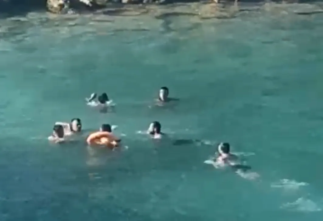 Mersin'de denizdeki kavga tutuklamayla bitti
