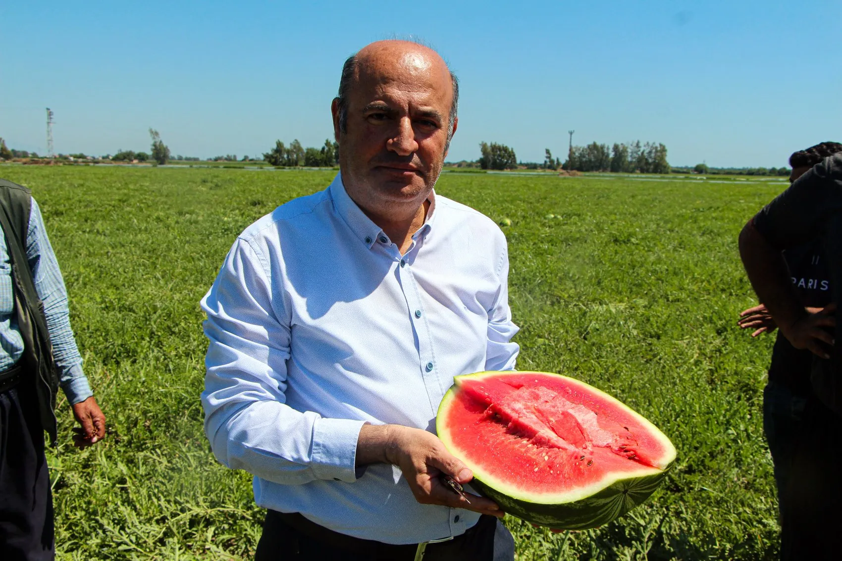 Çukurova’da hasat hızlandı karpuz fiyatları tarlada geriledi