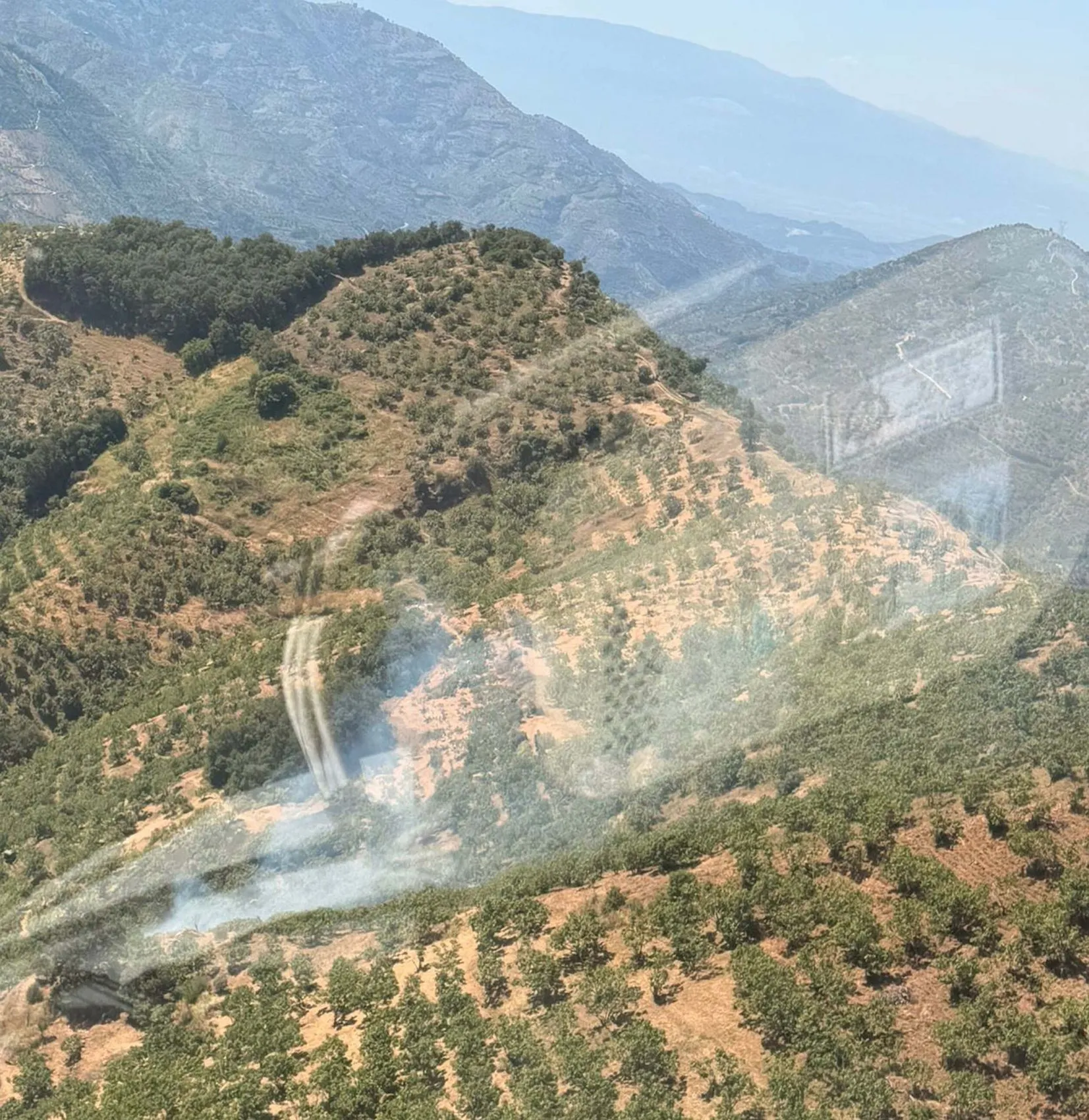 Nazilli'de bir öğle yemeği incir bahçesini küle çevirdi